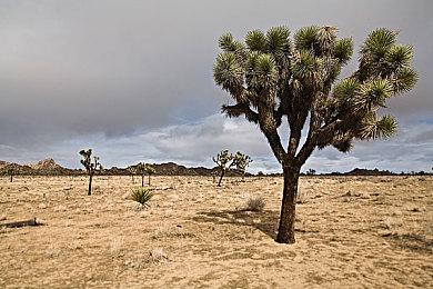 光荣宣布炼金工房系列新作发布会 8月8日举行